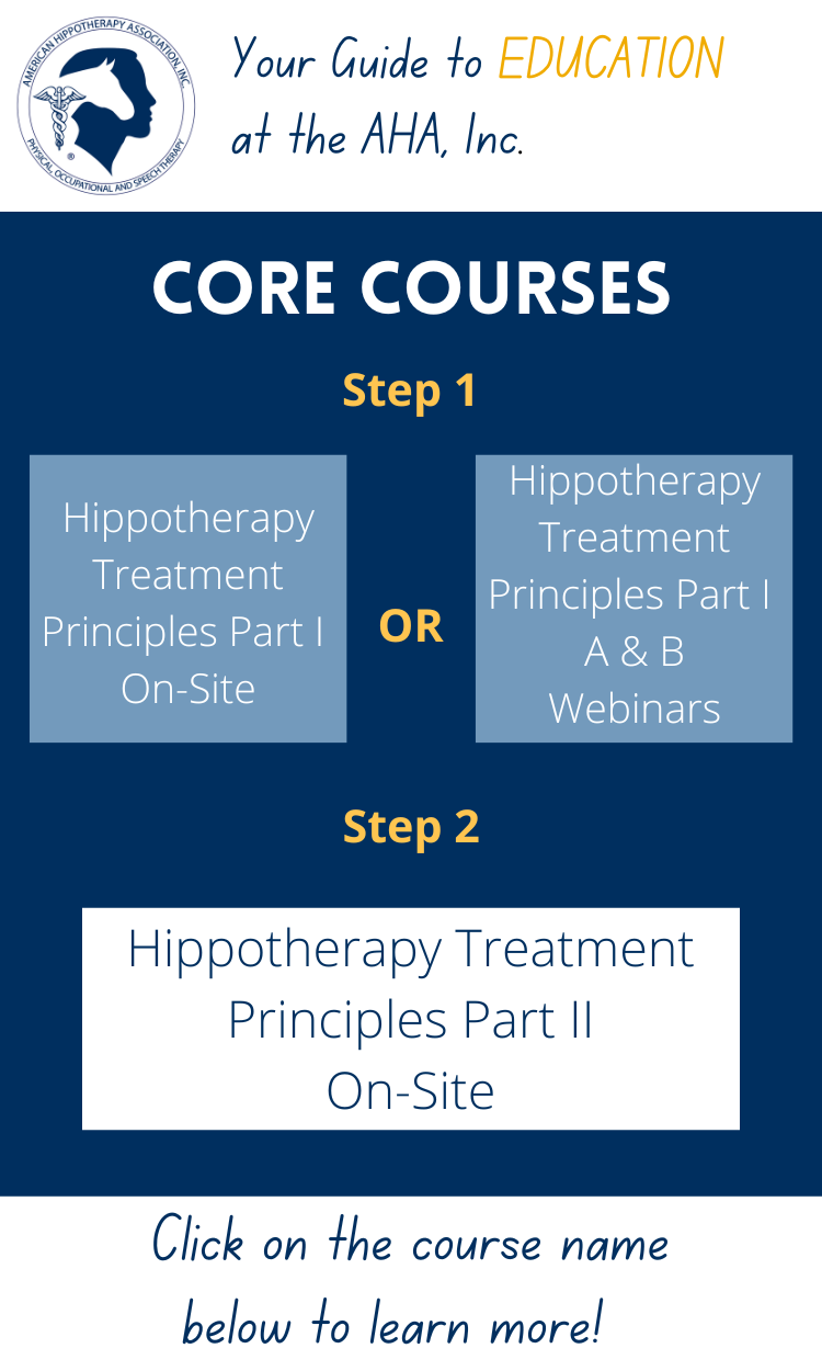 Course Curriculum Overview